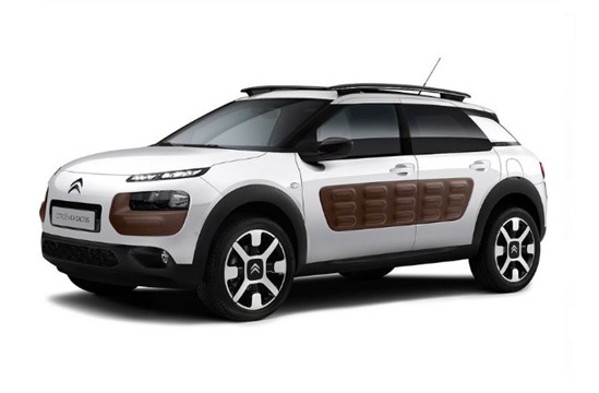 C4 Cactus