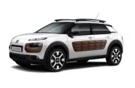C4 Cactus