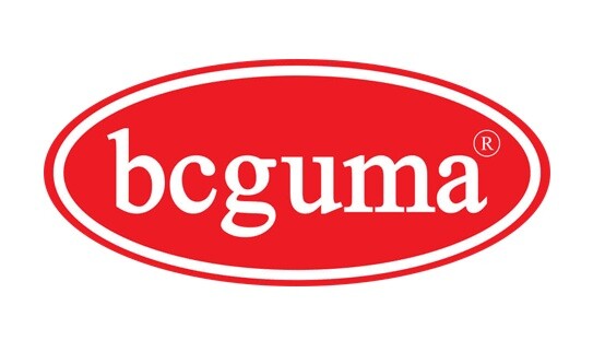 BCGUMA RENAULT С/блок задньої підвіски Duster 10- BC GUMA BC1118