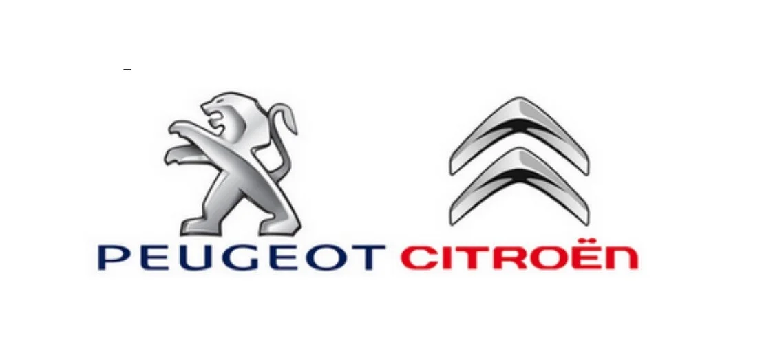 CITROEN П?ДШИПНИК аморт Peugeot/Citroen 9828224880