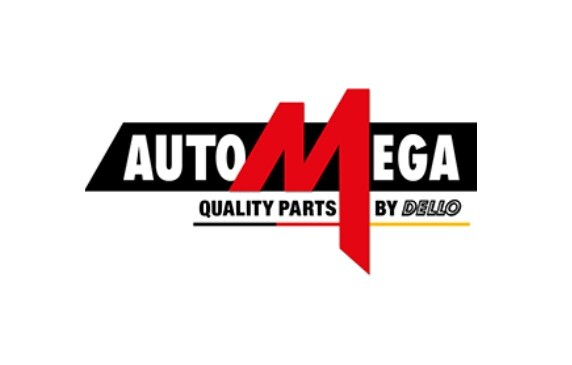 Болт головки блока AUTOMEGA 101030384050
