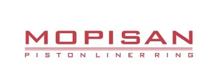 Поршень MOPISAN 10232600 01