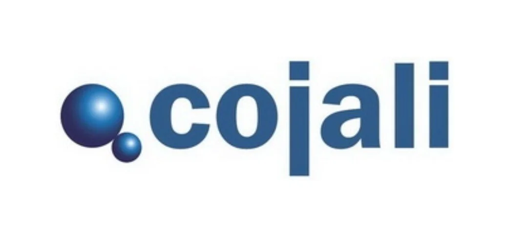Датчик ABS COJALI 2261146