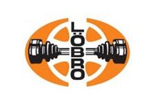 Пильник ШРКШ LOEBRO 304158