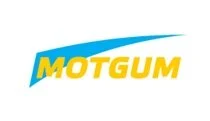 Щітка склоочисника Standart 430mm MOTGUM PA43B1X