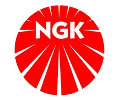 Свічка запалювання NGK VL30