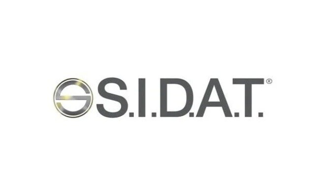 Деталі двигуна SIDAT 47.1074