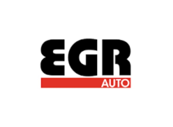 Запчасти EGR