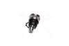 Шарова опора (передн) VOLVO 240, C30, C70 II, S40 II, V40, V50 AUDI 100 C3, 200 C3, 80 B3, 90 B2 CADILLAC CTS SPORT CITROEN BERLINGO FORD C-MAX, C-MAX II, FOCUS C-MAX 0.8H-Electric 05.74- 555 SB1862 (фото 2)