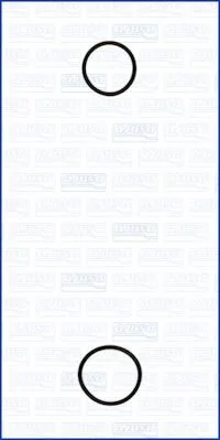 КОМПЛЕКТ ПРОКЛАДОК ВПУСКНОГО КОЛЕКТОРА AJUSA 77001900 (фото 1)