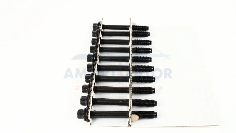 Комплект болтів з головкою системи TORX з чорного металу AJUSA 81024100 (фото 1)