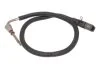 Датчик температури вихлопних газів (перед DPF, 2PIN) RVI KERAX, MAGNUM, PREMIUM 2 VOLVO 7900, 8900, 9500, B11, FH, FH II, FH16, FH16 II, FM, FM II, FMX, FMX II 01.03- AKUSAN VOLSE046 (фото 1)