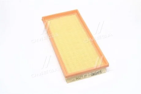 Повітряний фільтр ALPHA FILTER AF1794