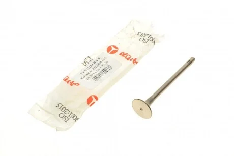 Випускний клапан PVWG134-B-0-N AMP PVWG134B0N