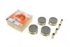Комплект поршнів PX-DAE-4A-3548-000-2 AMP PXDAE4A35480002 (фото 1)