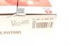Комплект поршнів PX-DAE-4A-3548-025-2 AMP PXDAE4A35480252 (фото 10)