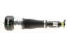Пневматичний модуль ARNOTT AS2540 (фото 1)