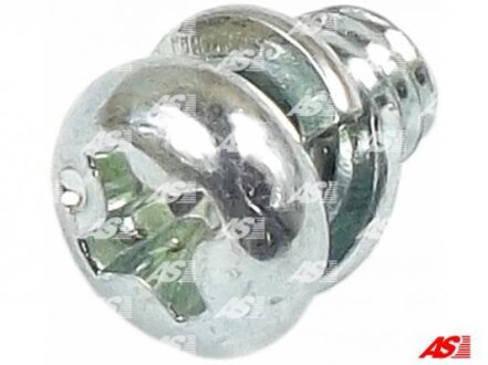 Болт з хрестовидним шліцом з чорного металу AS-PL ARS6008 (фото 1)