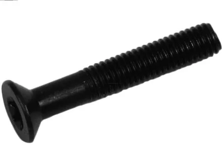 Болт з фігурною головкою AS-PL SP0007