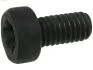 Болт з головкою системи TORX з чорного металу AS-PL SP3022S(BULK) (фото 1)