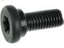 Болт з головкою системи TORX з чорного металу AS-PL SRS3060S (фото 1)