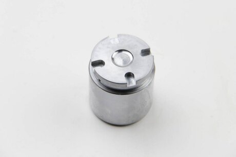 Поршень, гальмівний супорт AUTOFREN D025124