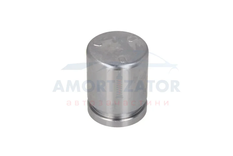 Поршень супорта зад. Forester 13-/Outback 09- (38x48mm) AUTOFREN D025636 (фото 1)