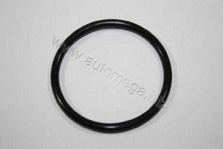 Прокладка термостата VW Passat 80-/Golf AUTOMEGA 190027320
