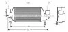 AVA FORD Інтеркулер Fiesta IV, Focus 1.8D/TDCi 95- AVA COOLING FDA4313 (фото 1)