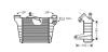 AVA SKODA Інтеркулер FABIA 1.9 00-, VW, SEAT AVA COOLING STA4036 (фото 1)