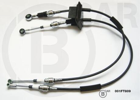 B CAR 001FT809
