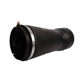 Пружина заднього амортизатора BAPMIC BF0321290040