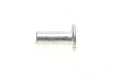Заклепки BEGEL Germany ZAKL4mm60шт
