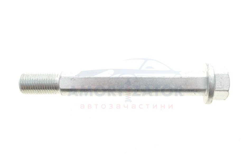 Болт з ексцентриком BELGUM PARTS BG2010 (фото 1)