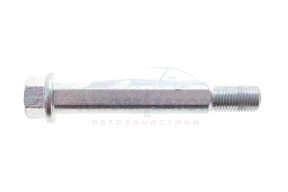 Болт з ексцентриком BELGUM PARTS BG2030 (фото 1)