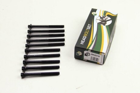 Комплект болтів двигуна з фігурною головкою BGA BK6318