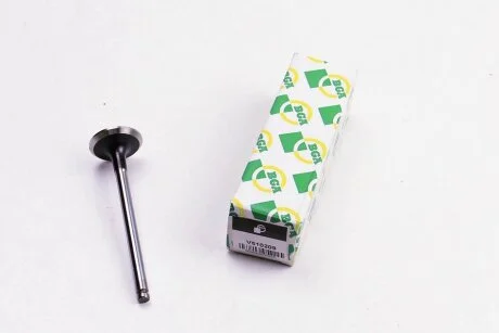 Клапан двигуна BGA V510209