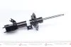 Амортизатор BILSTEIN 22250315 (фото 6)