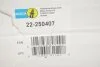 Амортизатор BILSTEIN 22250407 (фото 2)