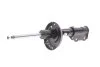 Амортизатор BILSTEIN 22257574 (фото 1)
