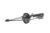 Амортизатор BILSTEIN 22260994 (фото 1)