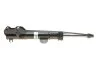 Амортизатор газомасляний BILSTEIN 22276117 (фото 1)