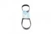 6PK870 PEUGEOT Partner, Expert, 206/306 98- BLUE PRINT AD06R870 (фото 1)