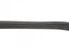 6PK870 PEUGEOT Partner, Expert, 206/306 98- BLUE PRINT AD06R870 (фото 2)