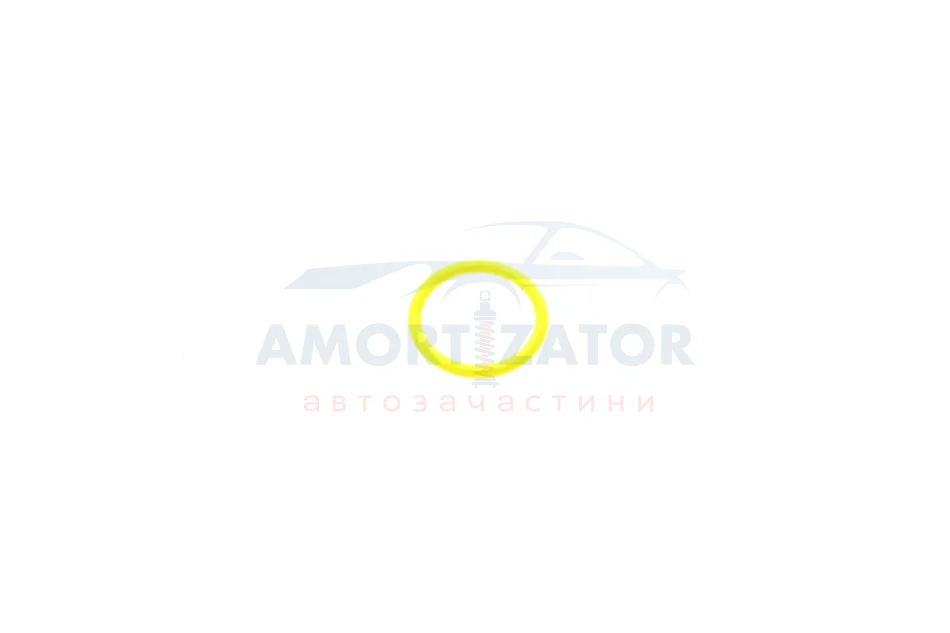 Кільце кр.19.0X2.5 BMW 11532248435 (фото 1)