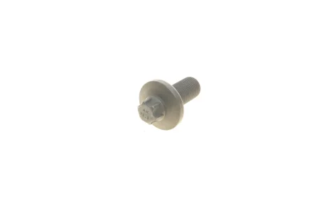 Болт Torx M12X1.0 BMW 13527800395
