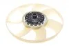 Муфта вентилятора з крильчаткою BORGWARNER AM-20004766-M BorgWarner AM20004766M (фото 5)