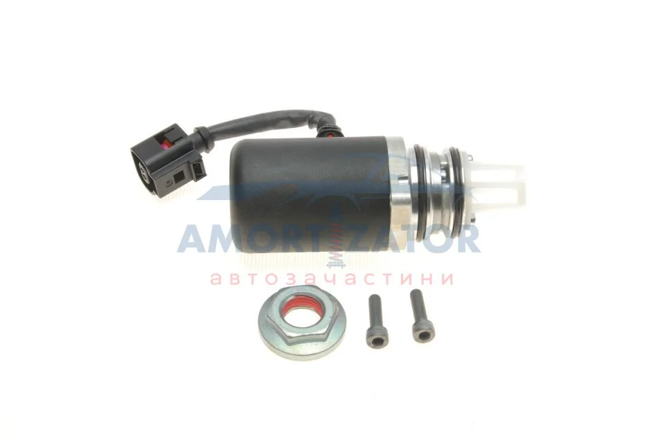 Комплект масляної помпи муфти диференціалу BORGWARNER BorgWarner DS118611 (фото 1)