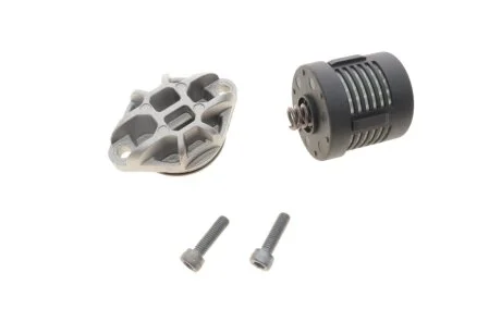 Ремкомплект масляного фільтра муфти диференціалу BORGWARNER BorgWarner DS120356