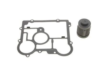 Ремкомплект масляного фільтра муфти диференціалу BORGWARNER BorgWarner DS2006273